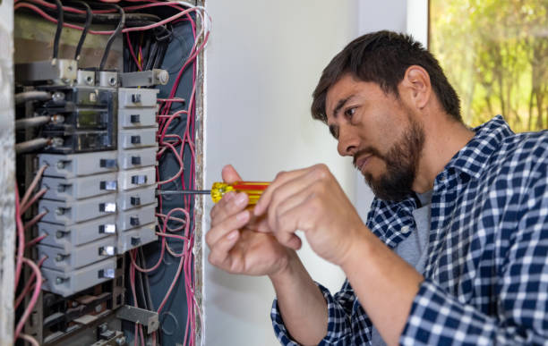 Best Licensed Electrician  in Toledo, IA